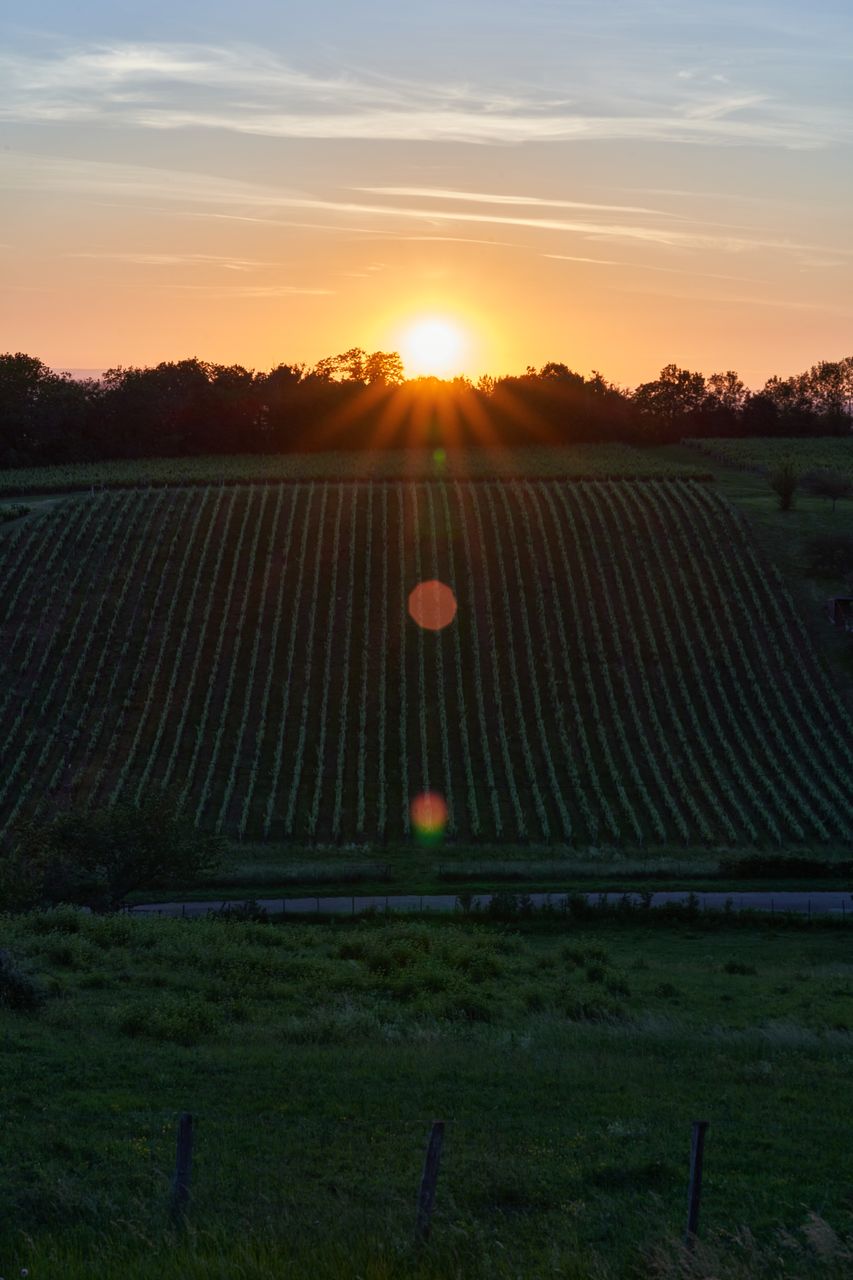 Paysage Couché de soleil 0227